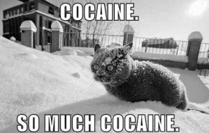 but it was probably not cocaine